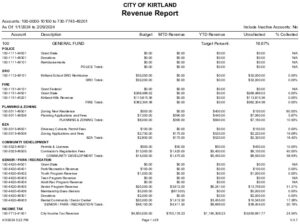 Icon of 2-29-2024 Revenue Report