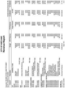 Icon of 3-31-2024 Revenue Report