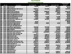 Icon of 2024 Revenue Budget - Line Item Detail