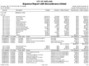 Icon of 1-31-2021 Expense Report With Encumbrance Detail