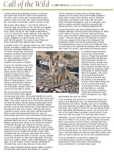 Icon of Coyote Article